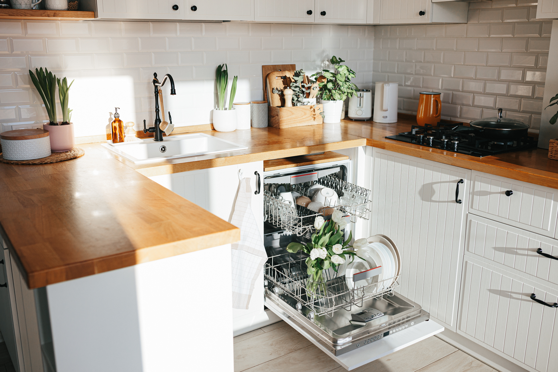 dishwasher service